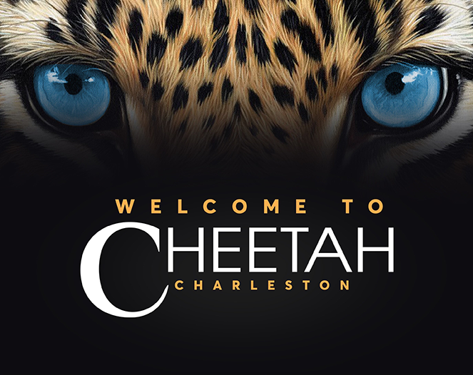 Cheetah Charleston signature cheetah eyes and welcome artwork