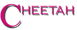 Cheetah Charleston